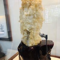 評論圖片 2