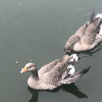 評論圖片 2