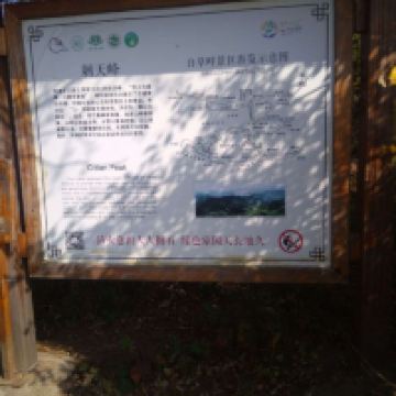 評論圖片 6