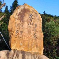 評論圖片 3