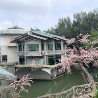 評論圖片 5