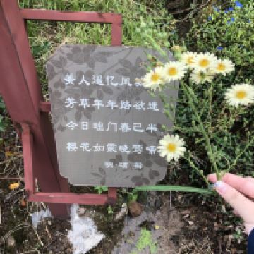 評論圖片 6