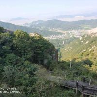 評論圖片 7