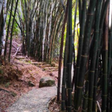 評論圖片 5