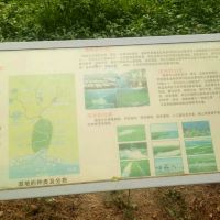 評論圖片 5