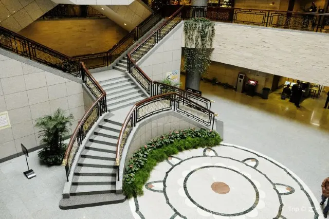 Best Travel Guide to Shanghai Museum