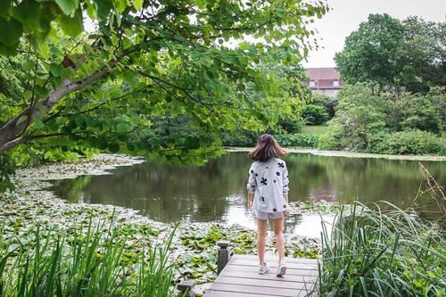 Botanical Gardens (Botanisk Have)
