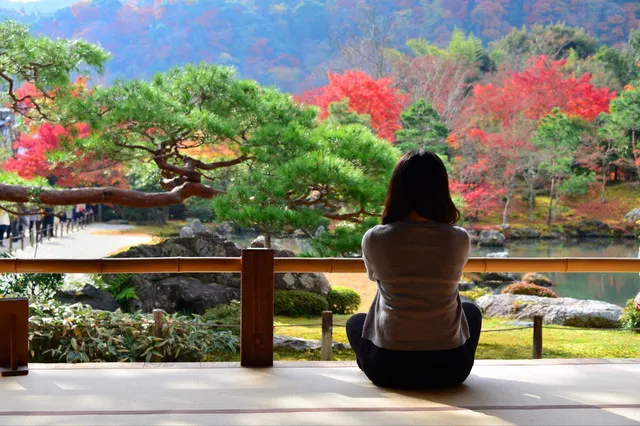 Maple Season! Who Can Deny that It’s The Prettiest Moment in Kyoto?