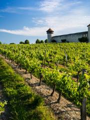 Museo del Vino e del Commercio di Bordeaux