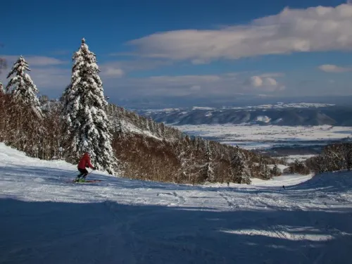 【北海道滑雪】8間北海道滑雪場超詳細攻略