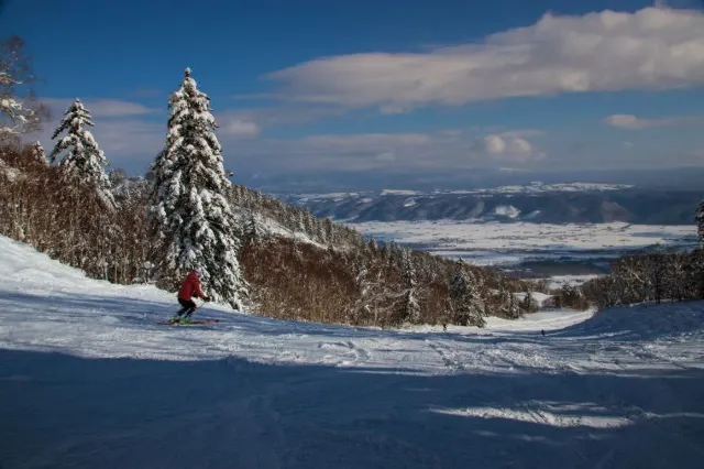 9 Best Things to do in Hokkaido during Winter Holidays