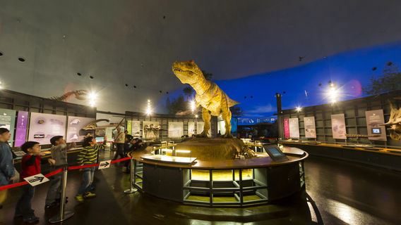 Fukui Prefectural Dinosaur Museum