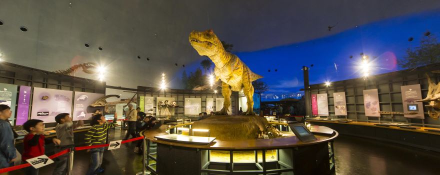 Fukui Prefectural Dinosaur Museum