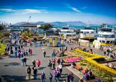 8 Things To Do with Parents in San Francisco