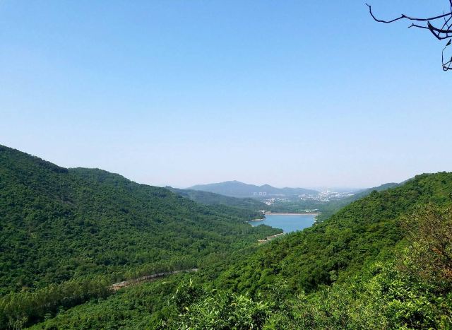 Wenxin Forest Park