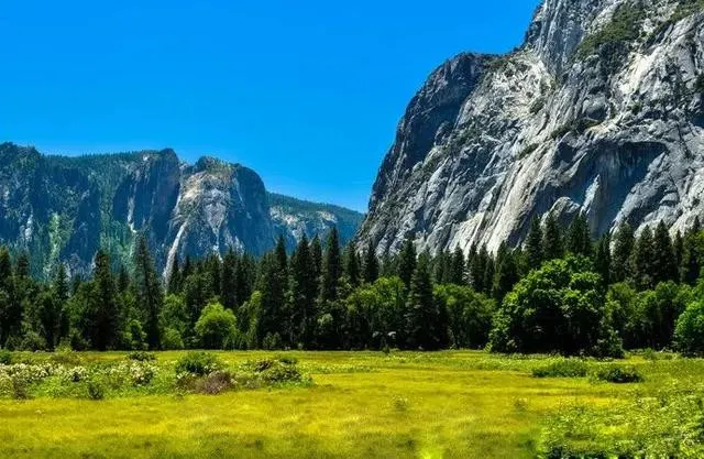 Yosemite National Park: an Uncanny Workmanship of Nature.