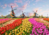Top-6 Can't Miss Attractions in Amsterdam