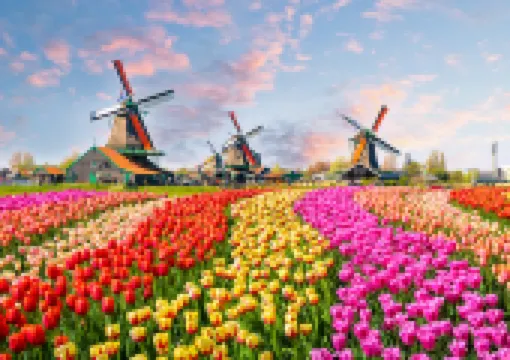 Top-6 Can't Miss Attractions in Amsterdam