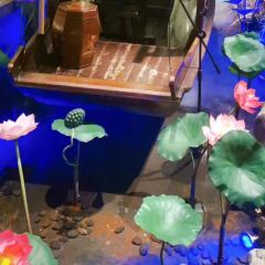 悦满庭(北二环中路店) User Photo