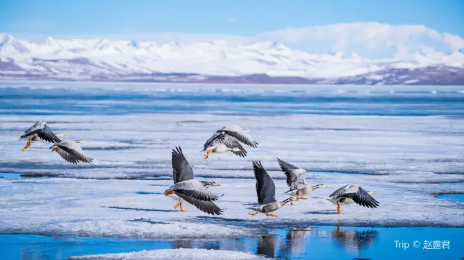 2_Lake Manasarovar