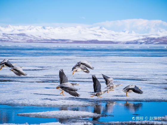 Lake Manasarovar