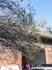 Beijing Fujunwang Palace