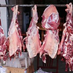 小胡羊肉汤 User Photo