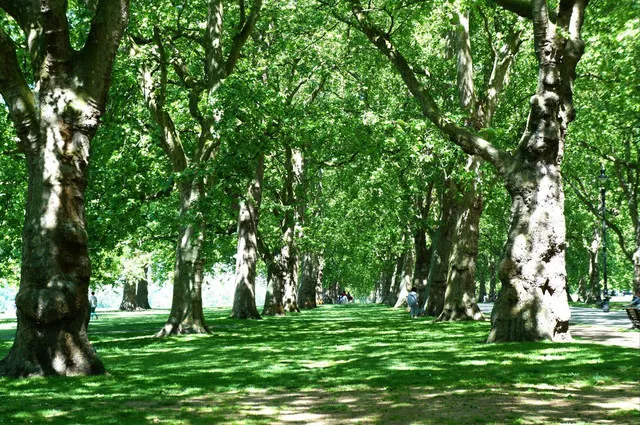 Top 10 Must Visit Attractions in London