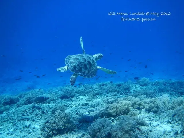 6 Must Do Things on Lombok Island