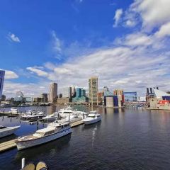 Rusty Scupper Restaurant & Bar User Photo