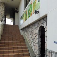 Dagenzhihua (meili) User Photo