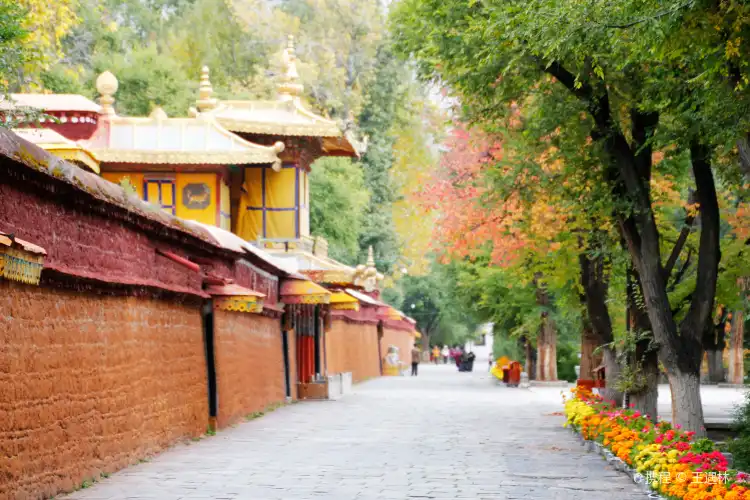 Hotels near Norbulingka