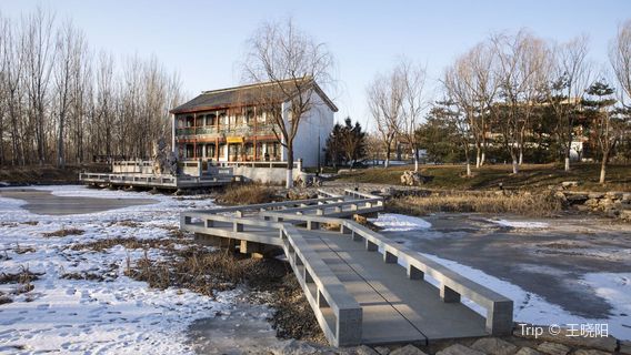 Dachang Shuhuayuan Park