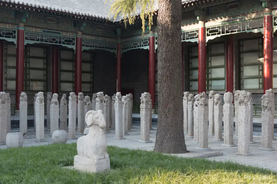 5_Xi'an Beilin Museum
