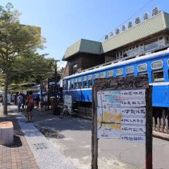 Wutaochishangfanbao (taidongchishang) User Photo