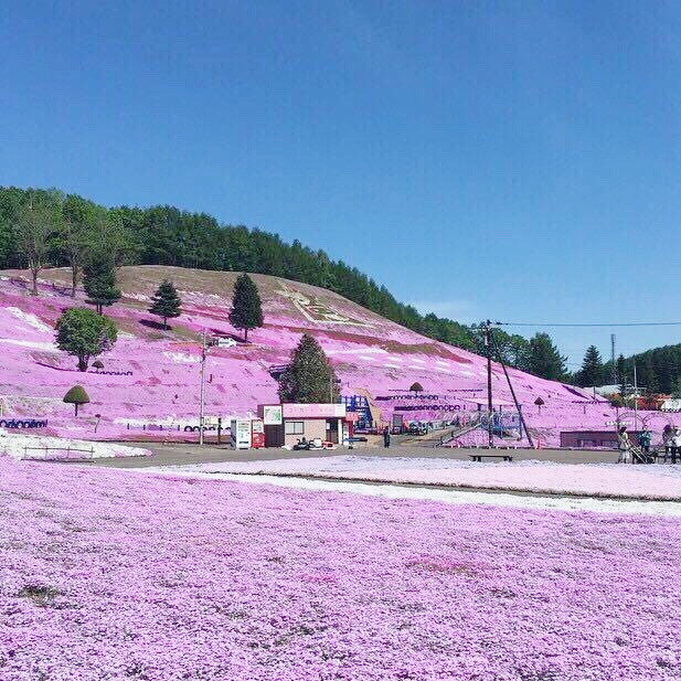 東藻琴芝櫻公園旅遊攻略指南 東藻琴芝櫻公園評價 東藻琴芝櫻公園附近推薦 Trip Com 東藻琴芝櫻公園旅遊攻略指南 東藻琴芝櫻公園評價 東藻琴芝櫻公園附近推薦 Trip Com