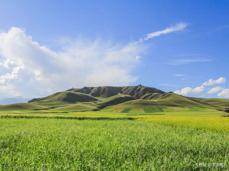 The Qilian Mountain Scenic Area