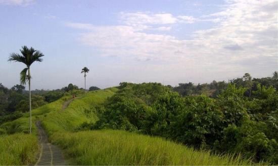 Campuhan Ridge Walk