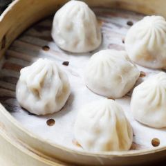 Mountain Beyond Mountain User Photo