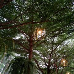 Bistro Park User Photo