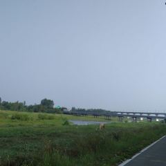 泓緣生態體驗館張用戶圖片