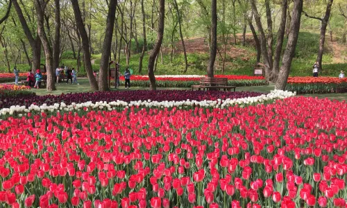 Ba Gong Shan National Geopark