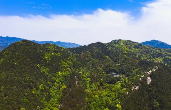 白崖寨門票成人