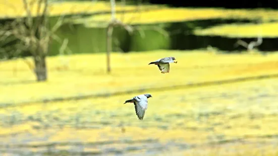 Wildlife Prairie State Park