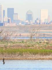 Jamaica Bay Wildlife Refuge