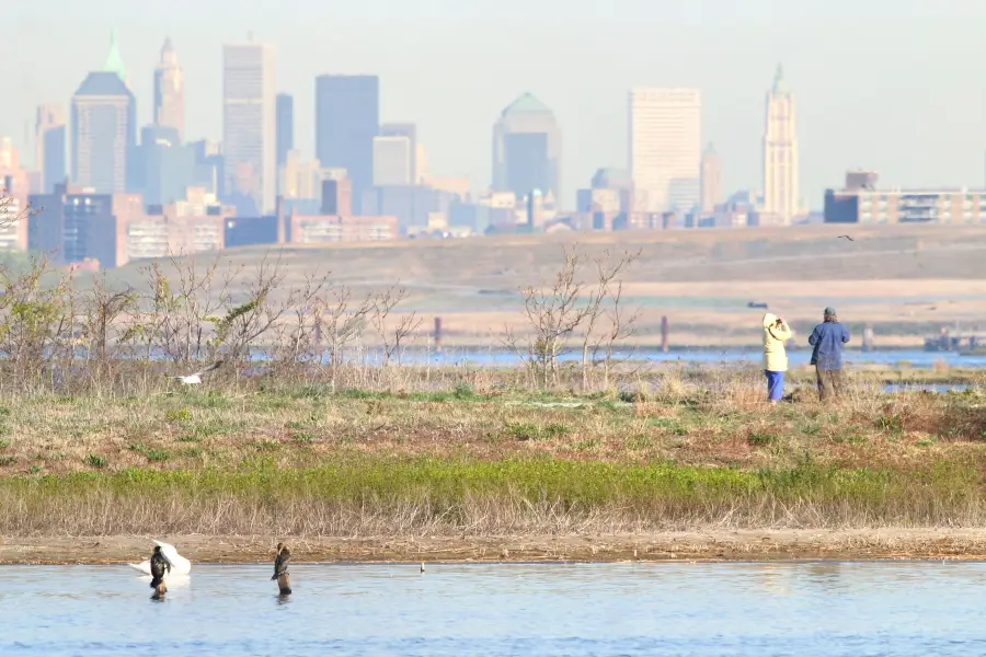 Jamaica Bay Wildlife Refuge