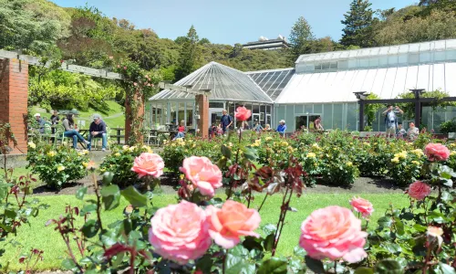 Wellington Botanic Garden
