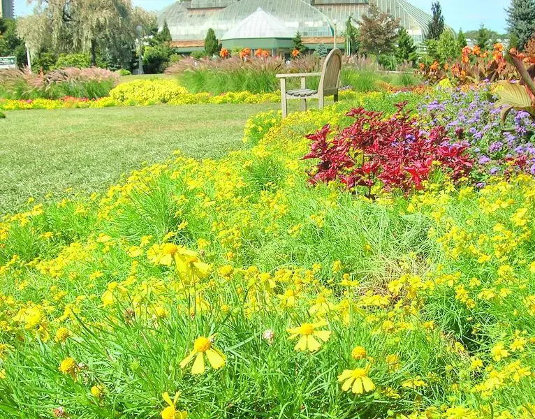 林肯公園花房