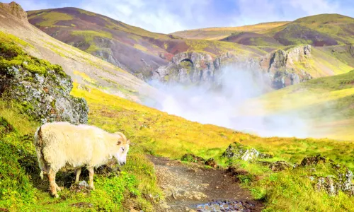 Reykjadalur Valley