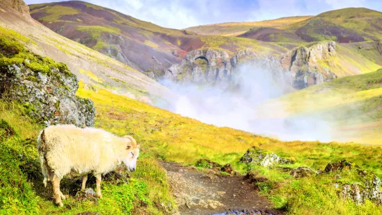 Reykjadalur Valley